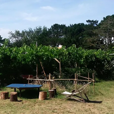 Calme Et Bord De *