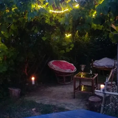 Calme Et Bord De *